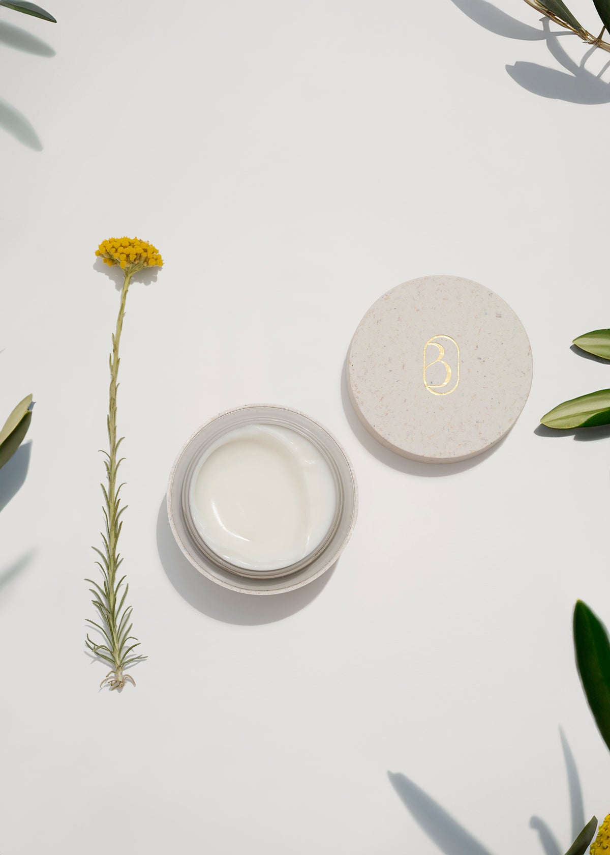La Crème Hydratante Boténor, pot ouvert, texture blanche et soyeuse, avec feuilles d'olivier sauvage et fleur d'hélichryse